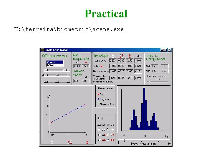 Practical H: ferreirabiometricsgene. exe 