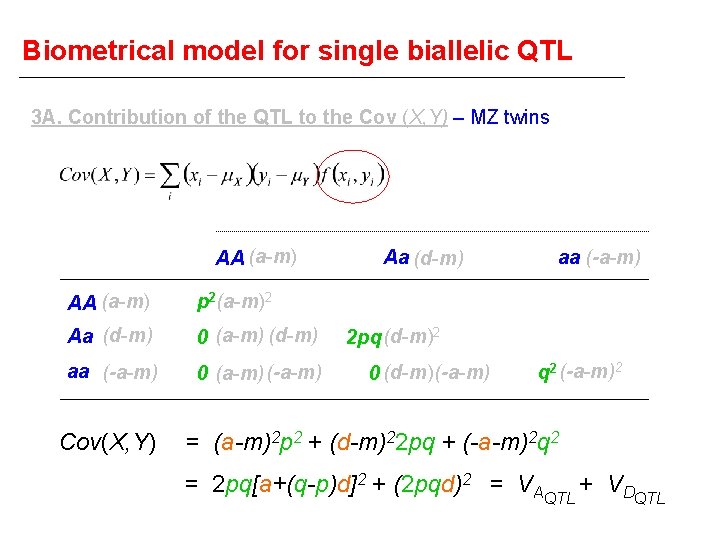 Biometrical model for single biallelic QTL 3 A. Contribution of the QTL to the