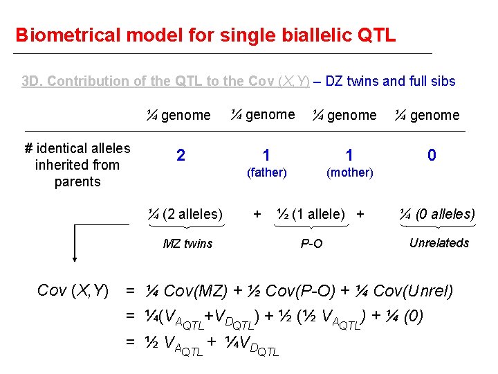 Biometrical model for single biallelic QTL 3 D. Contribution of the QTL to the
