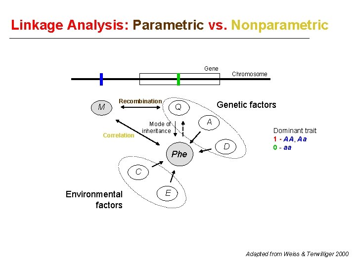 Linkage Analysis: Parametric vs. Nonparametric Gene M Recombination Genetic factors Q A Mode of
