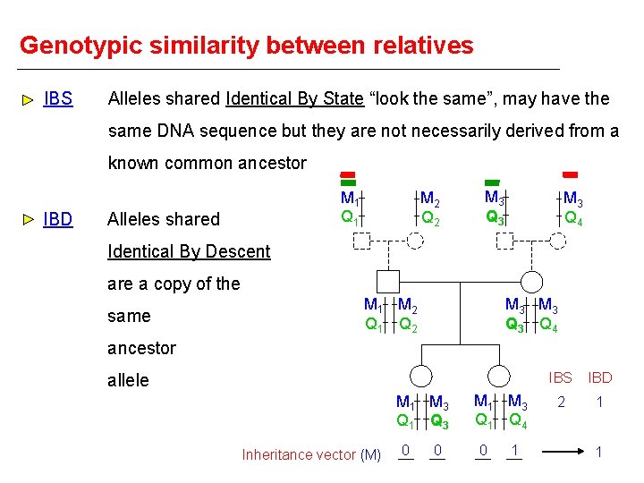 Genotypic similarity between relatives IBS Alleles shared Identical By State “look the same”, may