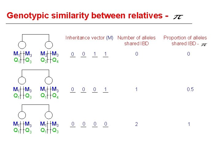 Genotypic similarity between relatives Inheritance vector (M) Number of alleles shared IBD Proportion of