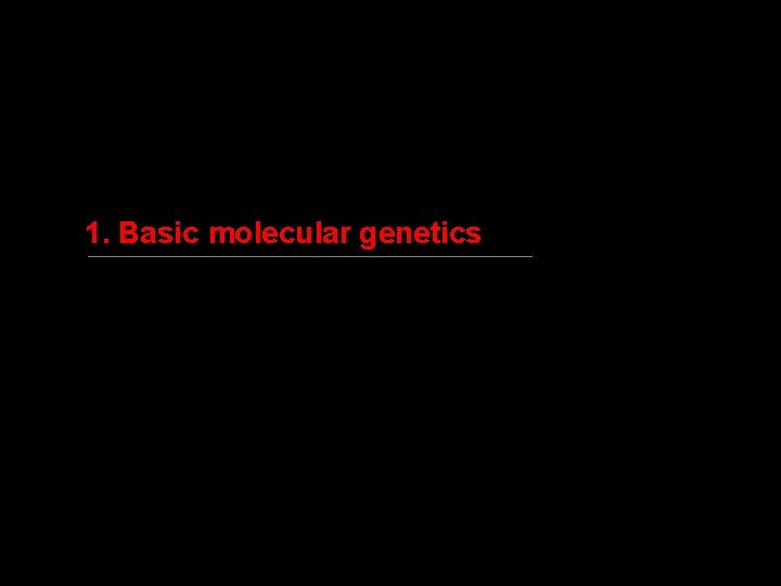 1. Basic molecular genetics 