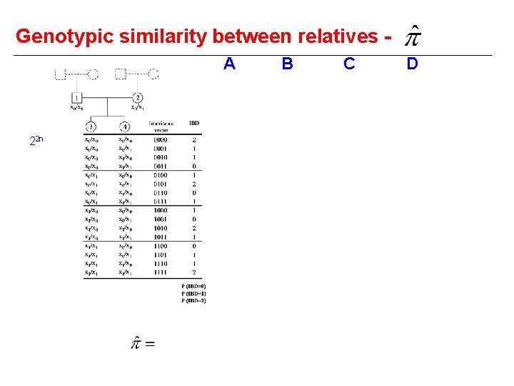 Genotypic similarity between relatives A 22 n B C D 