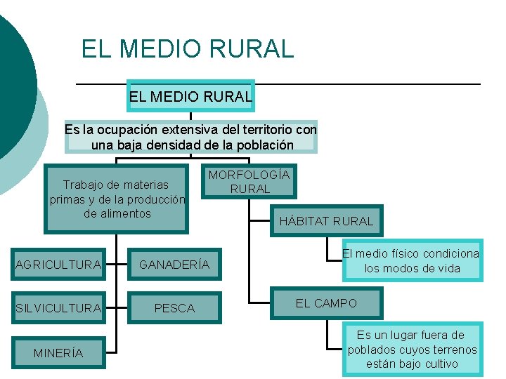 EL MEDIO RURAL Es la ocupación extensiva del territorio con una baja densidad de