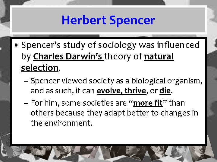 Herbert Spencer • Spencer’s study of sociology was influenced by Charles Darwin’s theory of