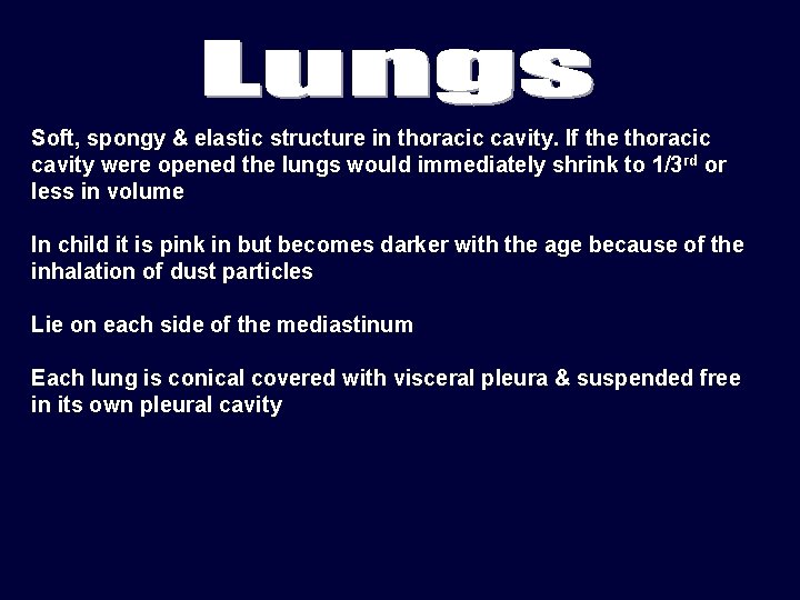 Soft, spongy & elastic structure in thoracic cavity. If the thoracic cavity were opened