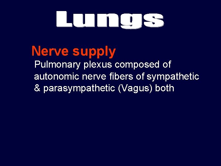 Nerve supply Pulmonary plexus composed of autonomic nerve fibers of sympathetic & parasympathetic (Vagus)