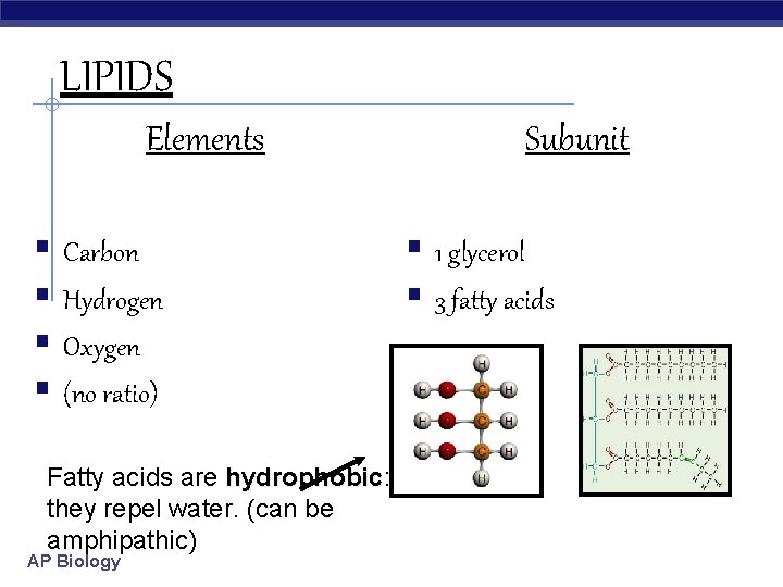 LIPIDS Elements § Carbon § Hydrogen § Oxygen § (no ratio) Fatty acids are