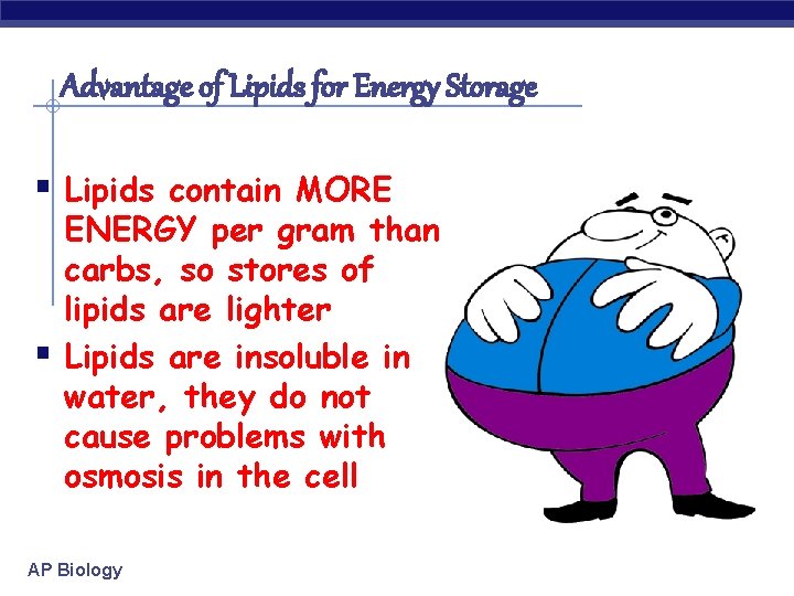 Advantage of Lipids for Energy Storage § Lipids contain MORE § ENERGY per gram