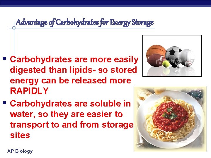 Advantage of Carbohydrates for Energy Storage § Carbohydrates are more easily § digested than