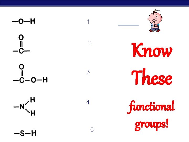 1 2 3 4 5 AP Biology Know These functional groups! 