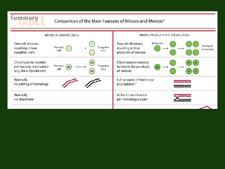 Total number of cell divisions? Fill in ploidy level in above “cells” Pairing of