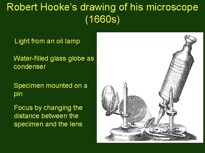Robert Hooke’s drawing of his microscope (1660 s) Light from an oil lamp Water-filled