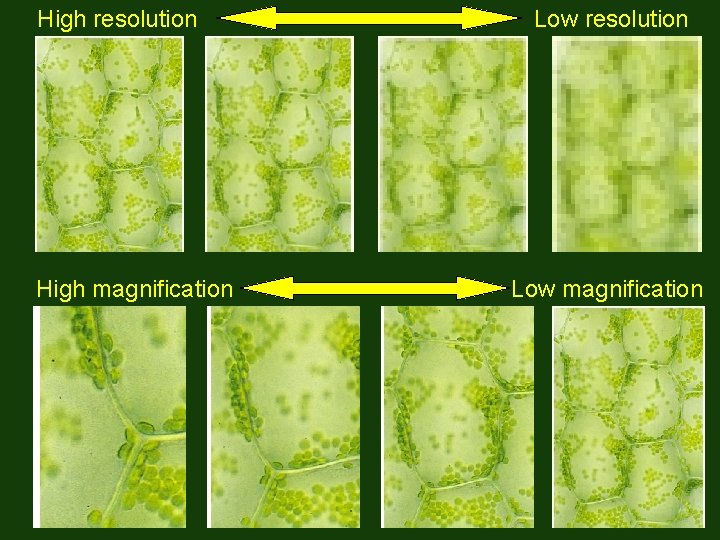 High resolution High magnification Low resolution Low magnification 