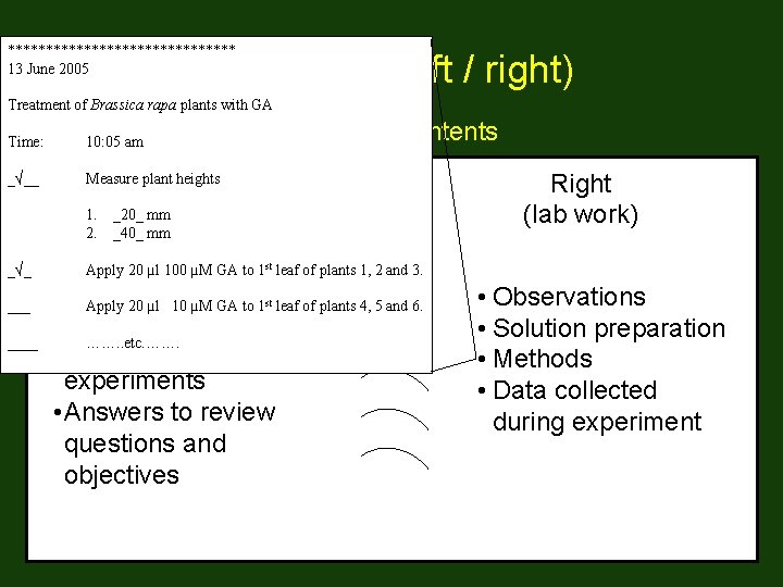 *************** 13 June 2005 Notebook (left / right) Treatment of Brassica rapa plants with