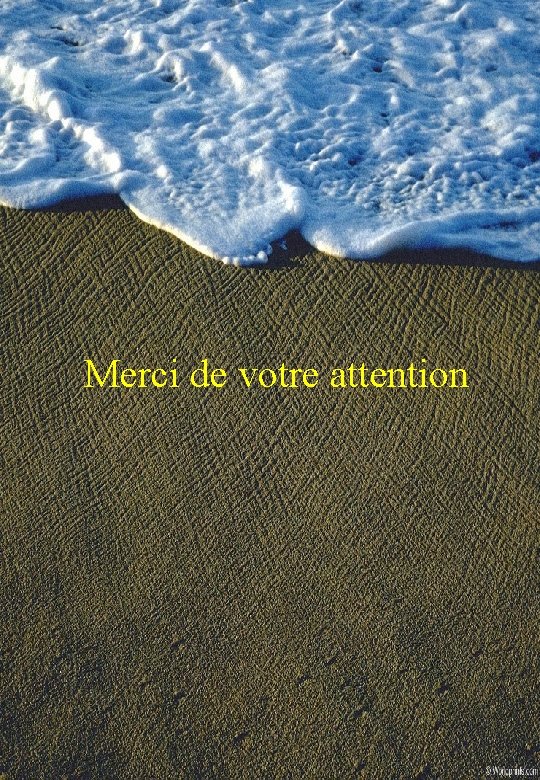 Merci de votre attention 