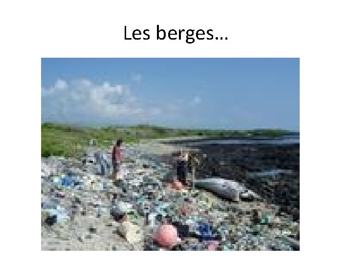 Les berges… 