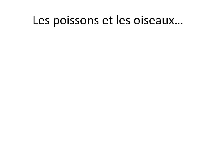 Les poissons et les oiseaux… 