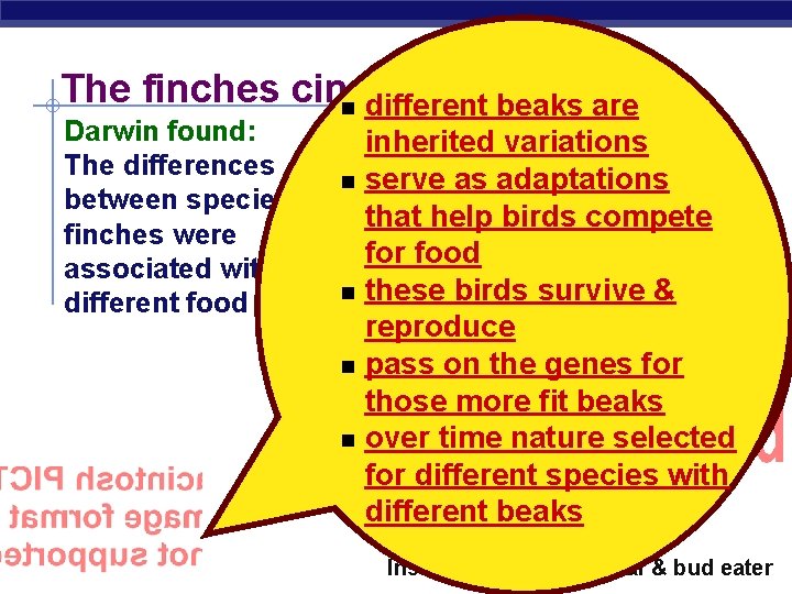 The finches cinched it! n different beaks are Darwin found: inherited variations The differences