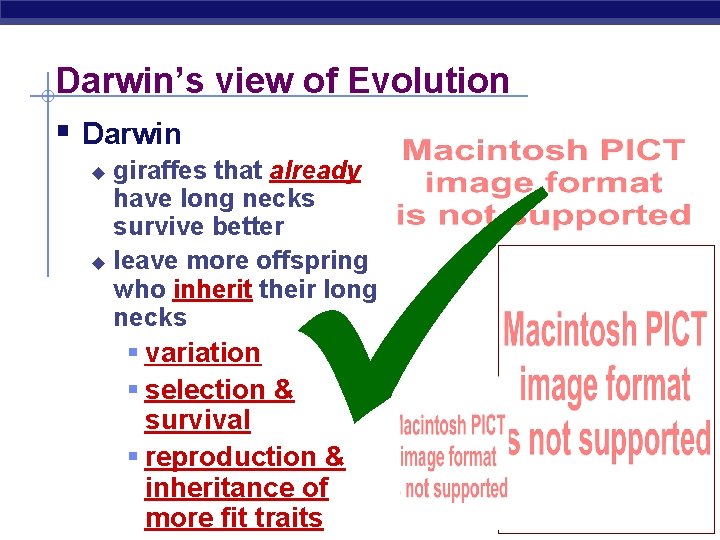 Darwin’s view of Evolution § Darwin giraffes that already have long necks survive better