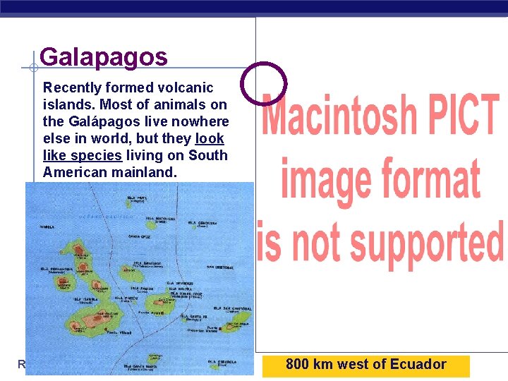 Galapagos Recently formed volcanic islands. Most of animals on the Galápagos live nowhere else