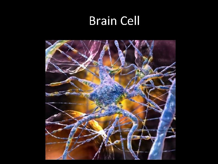 Brain Cell 