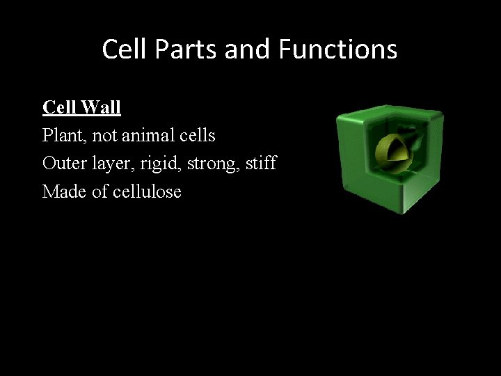 Cell Parts and Functions Cell Wall Plant, not animal cells Outer layer, rigid, strong,