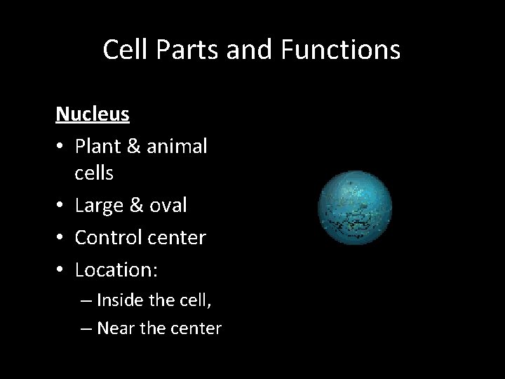 Cell Parts and Functions Nucleus • Plant & animal cells • Large & oval