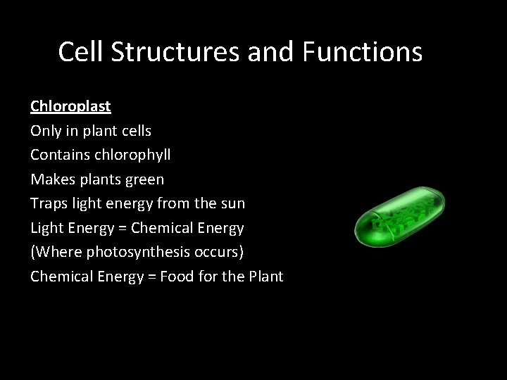 Cell Structures and Functions Chloroplast Only in plant cells Contains chlorophyll Makes plants green