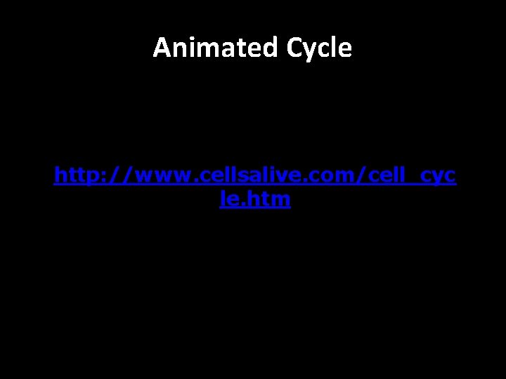 Animated Cycle http: //www. cellsalive. com/cell_cyc le. htm 