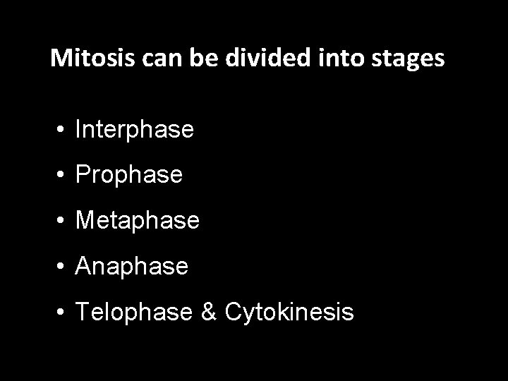 Mitosis can be divided into stages • Interphase • Prophase • Metaphase • Anaphase