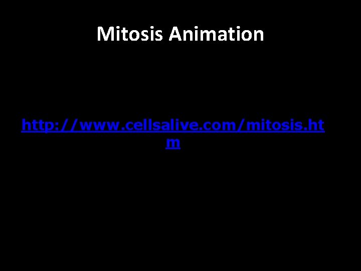 Mitosis Animation http: //www. cellsalive. com/mitosis. ht m 