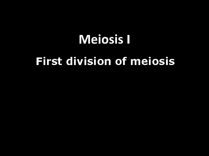 Meiosis I First division of meiosis 