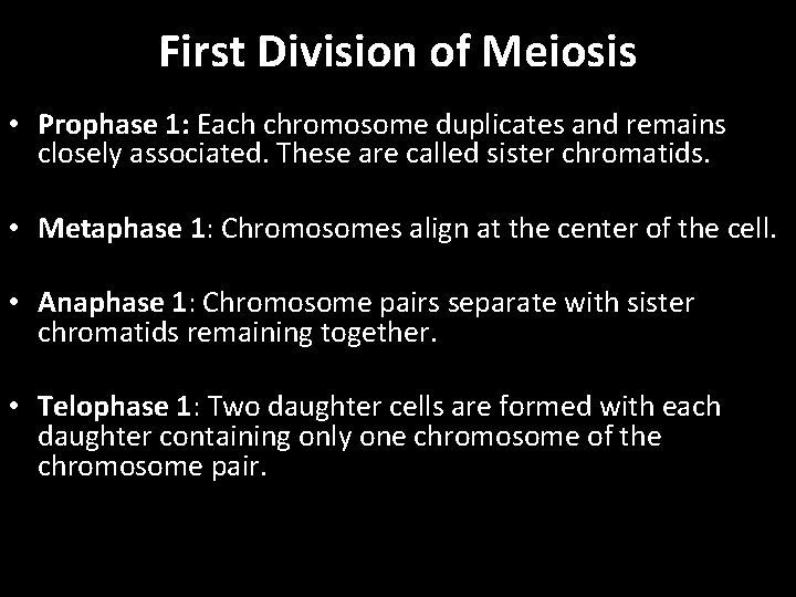 First Division of Meiosis • Prophase 1: Each chromosome duplicates and remains closely associated.