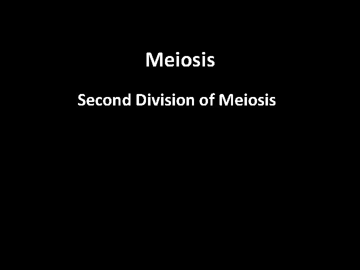 Meiosis Second Division of Meiosis 