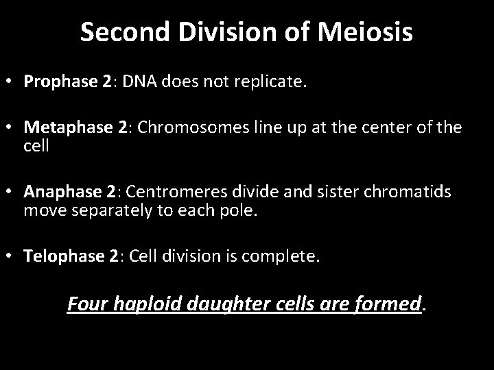 Second Division of Meiosis • Prophase 2: DNA does not replicate. • Metaphase 2: