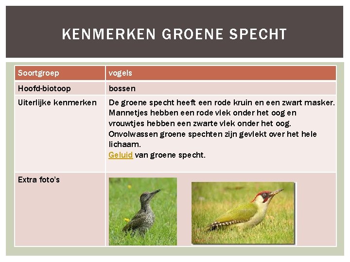 KENMERKEN GROENE SPECHT Soortgroep vogels Hoofd-biotoop bossen Uiterlijke kenmerken De groene specht heeft een