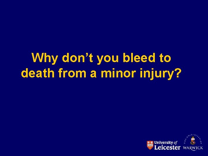 Why don’t you bleed to death from a minor injury? 