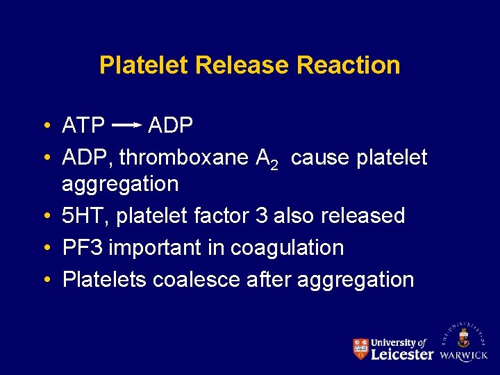 Platelet Release Reaction • ATP ADP • ADP, thromboxane A 2 cause platelet aggregation