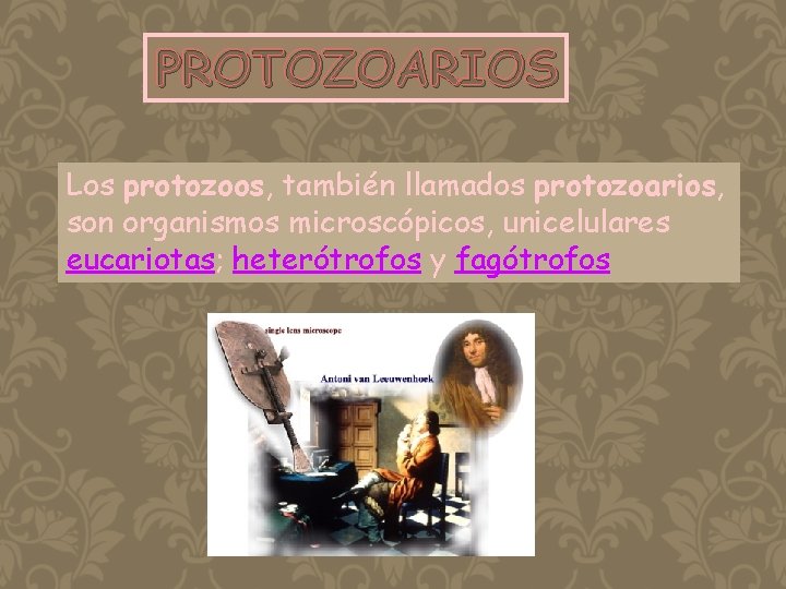 PROTOZOARIOS Los protozoos, también llamados protozoarios, son organismos microscópicos, unicelulares eucariotas; heterótrofos y fagótrofos