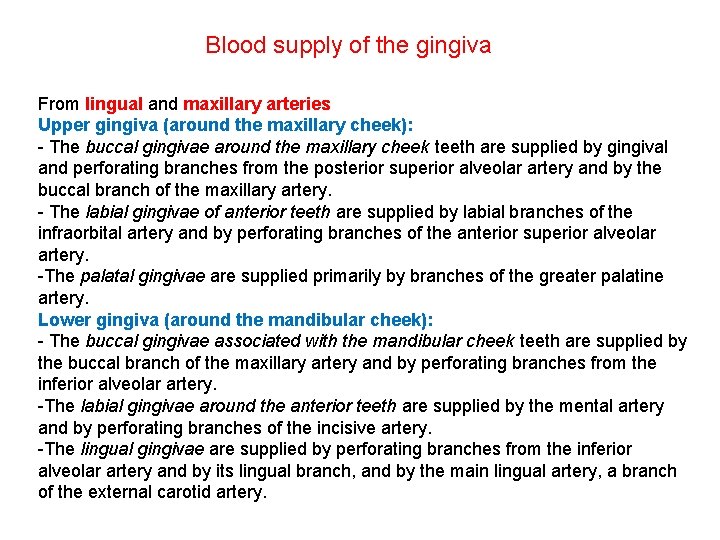 Blood supply of the gingiva From lingual and maxillary arteries Upper gingiva (around the
