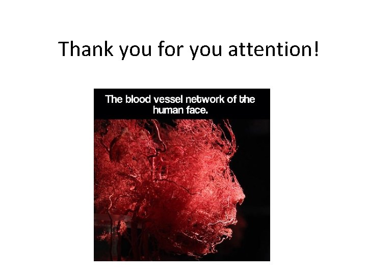 Thank you for you attention! 