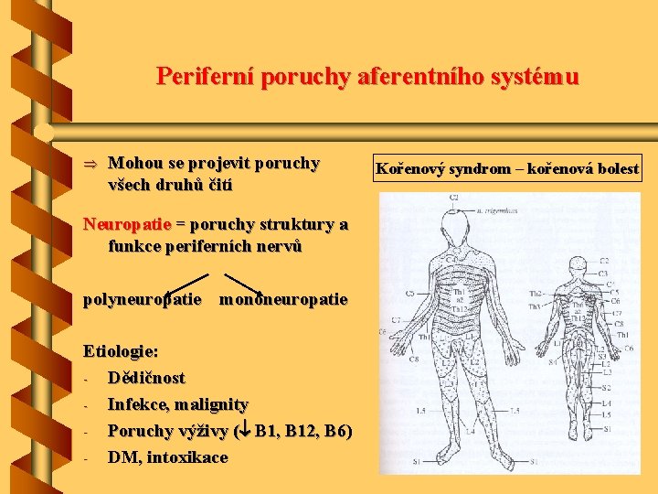 Periferní poruchy aferentního systému Þ Mohou se projevit poruchy všech druhů čití Neuropatie =