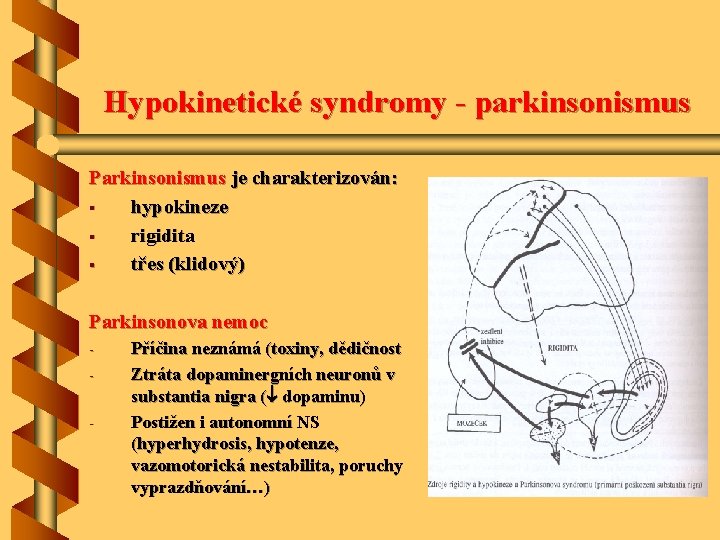 Hypokinetické syndromy - parkinsonismus Parkinsonismus je charakterizován: § hypokineze § rigidita § třes (klidový)
