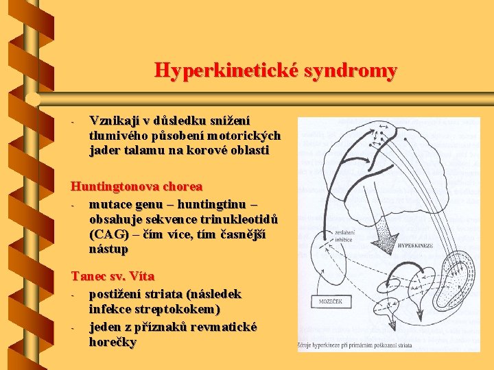 Hyperkinetické syndromy - Vznikají v důsledku snížení tlumivého působení motorických jader talamu na korové