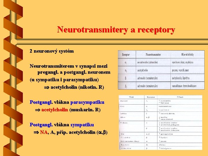 Neurotransmitery a receptory 2 neuronový systém Neurotransmiterem v synapsi mezi pregangl. a postgangl. neuronem