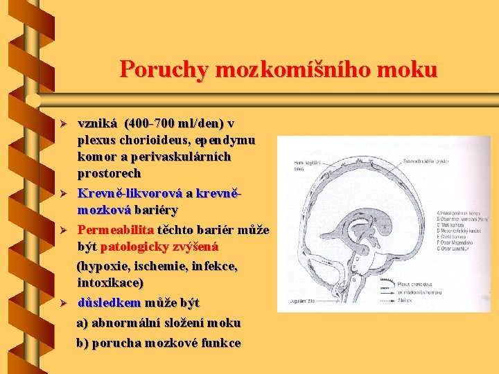 Poruchy mozkomíšního moku Ø Ø vzniká (400 -700 ml/den) v plexus chorioideus, ependymu komor