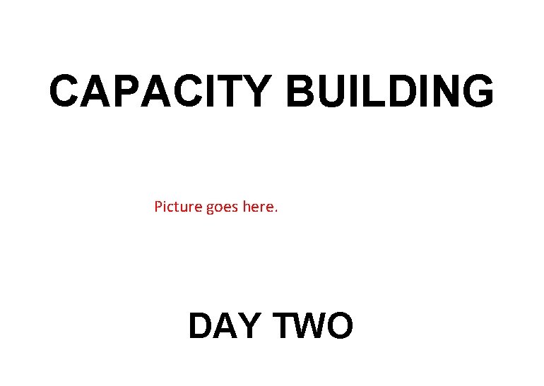 CAPACITY BUILDING Picture goes here. DAY TWO CAPACITY BUILDING Picture goes here. DAY TWO