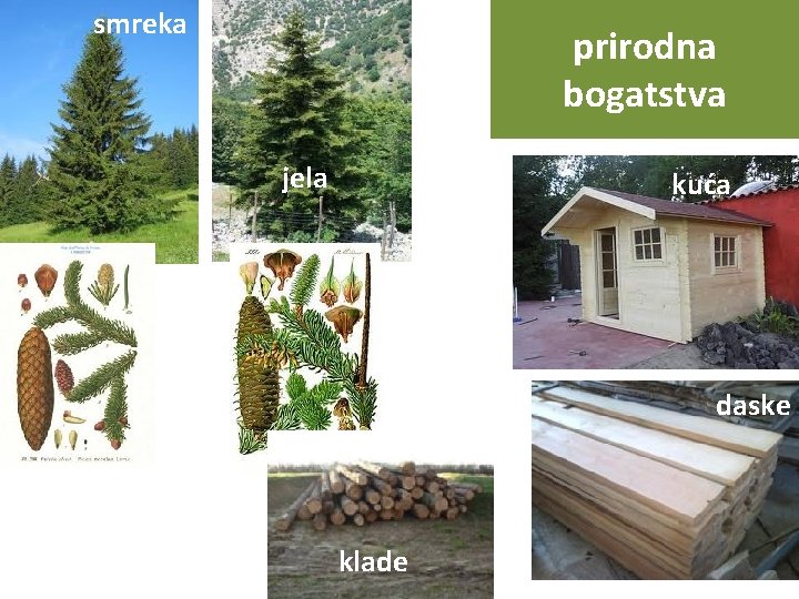 smreka prirodna bogatstva jela kuća daske klade 